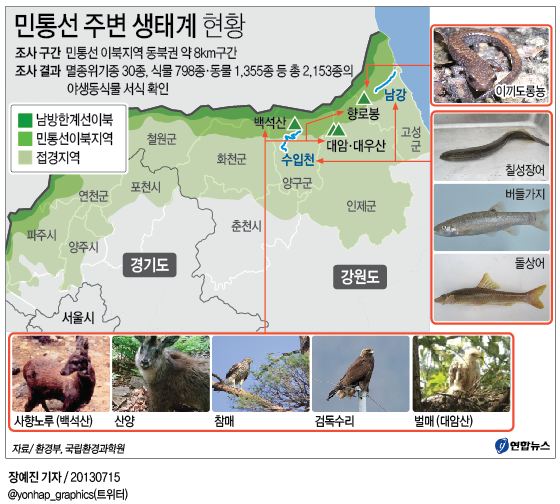 <그래픽> 민통선 주변 생태계 현황