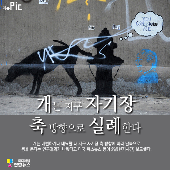 "개는 지구 자기장 축 방향으로 '실례'한다'" - 1