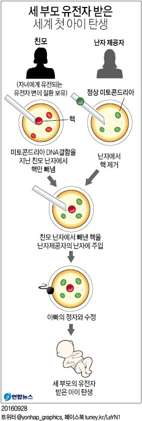 세 부모에게서 유전자 받은 세계 첫 아이 탄생 - 1