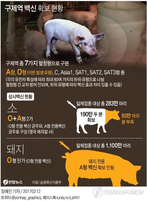 반경 1.5㎞서 구제역 3건 연쇄발생…"다 퍼졌나" 공포 확산(종합) - 2