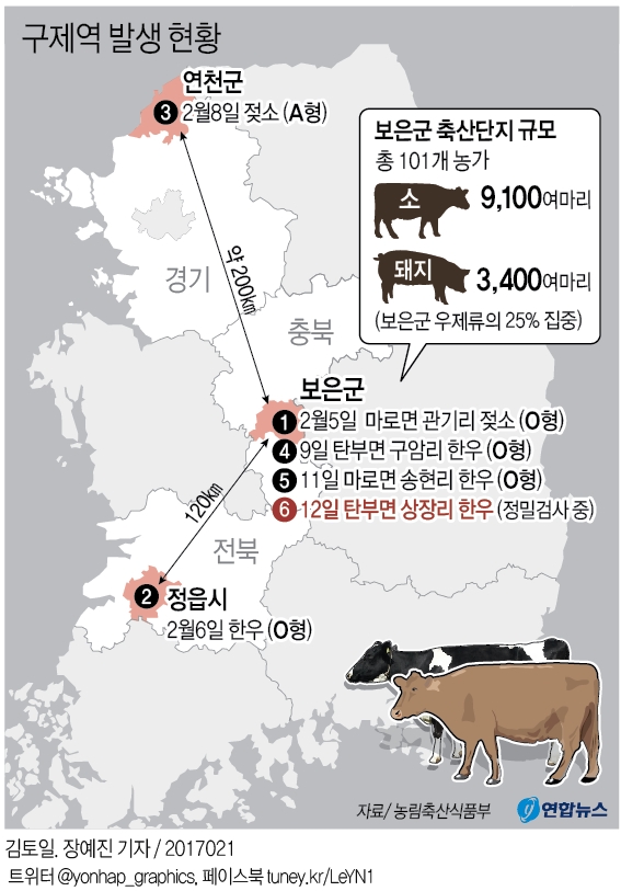 구제역, 충북 보은서 전국 6번째 발생…당국 통제 범위 벗어나나 - 2