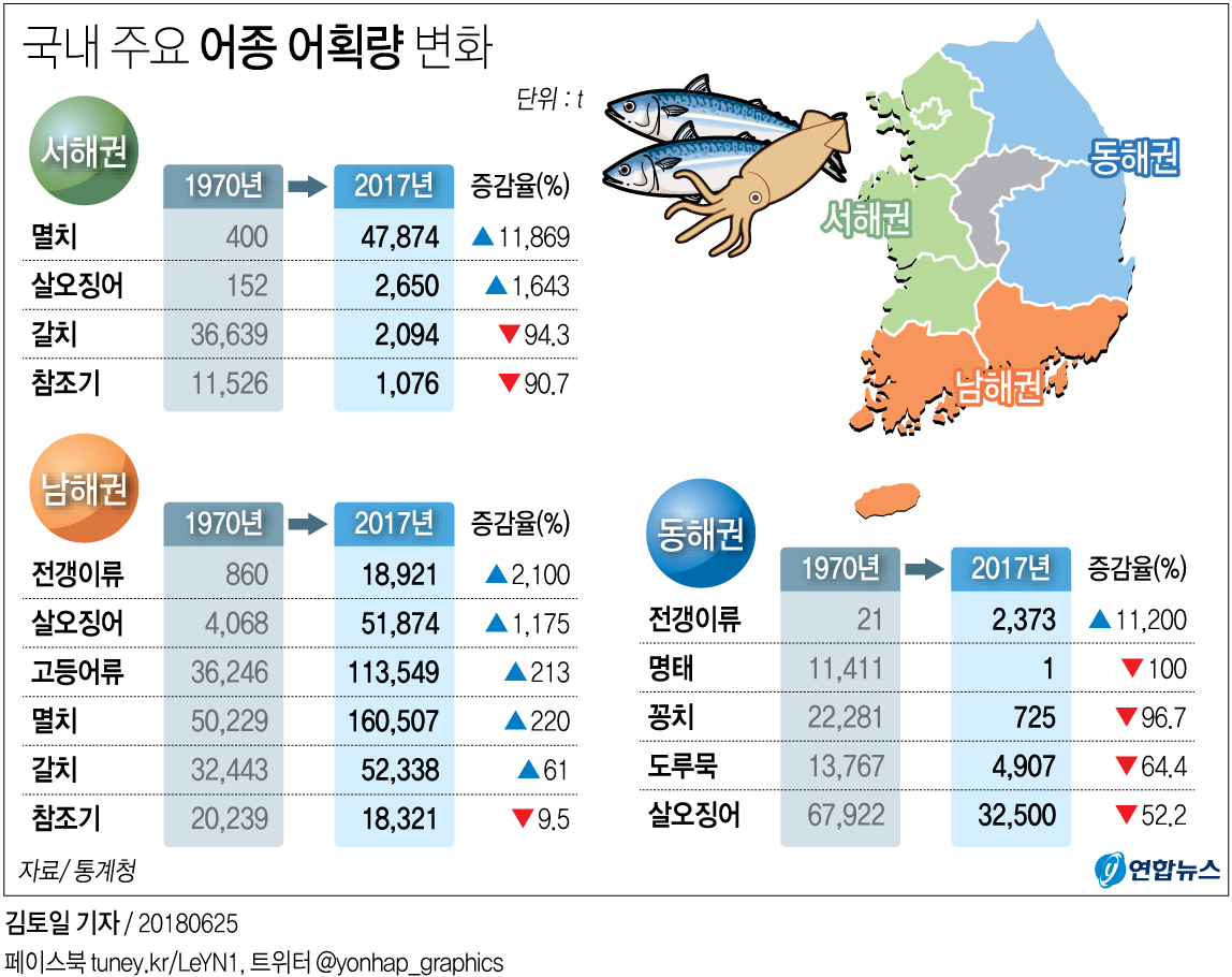 울릉도 오징어는 옛말, 동해 어획량 반토막…"中 불법조업 영향"(종합) - 1