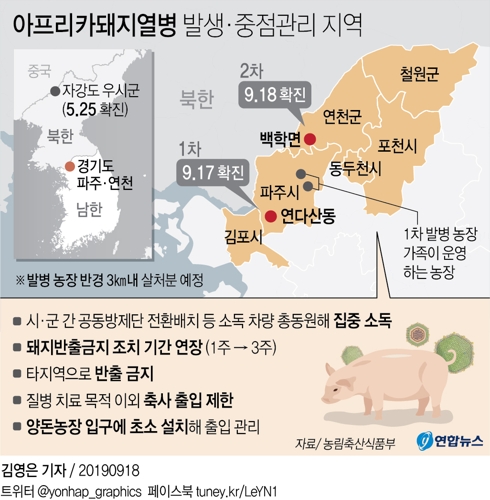 연천서도 아프리카돼지열병…확산 우려속 6개 시·군 집중 방역(종합2보) - 2