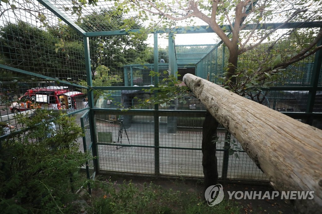 This photo shows the cage at the Daejeon O-World zoo from which a puma escaped on Sept. 18, 2018. (Yonhap)