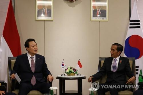 Yoon et Widodo