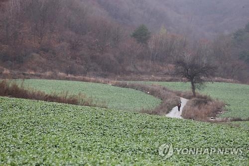 <걷고 싶은 길> 최북단 숲길 양구 펀치볼 둘레길 - 4