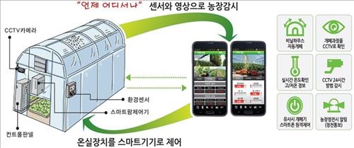 '스마트팜' 도입 농가 급증…생산량↑·인건비↓ - 2
