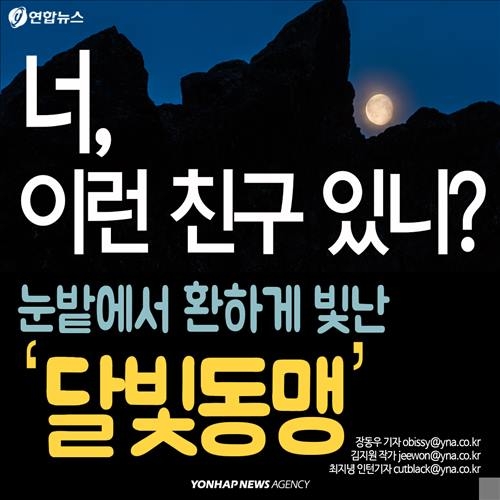 <카드뉴스> '너 이런 친구 있니?'…폭설에 빛난 '달빛동맹' - 2