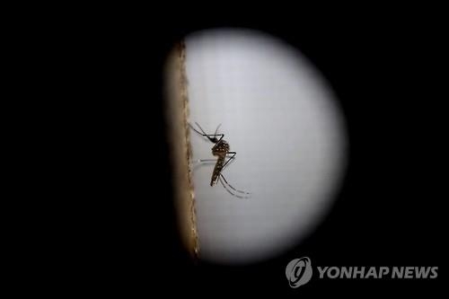 <지카 비상> "추가 확산 막자" 국제 공조 강화…여행제한은 없어 - 3