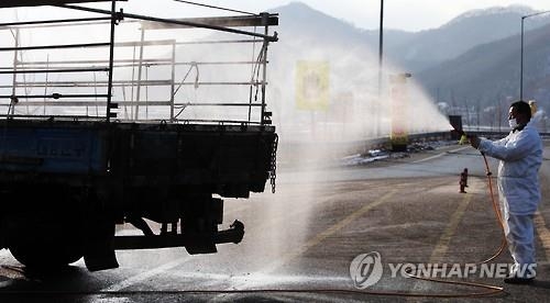 구제역 소강상태…'민족대이동' 설 앞두고 방역 강화 - 2