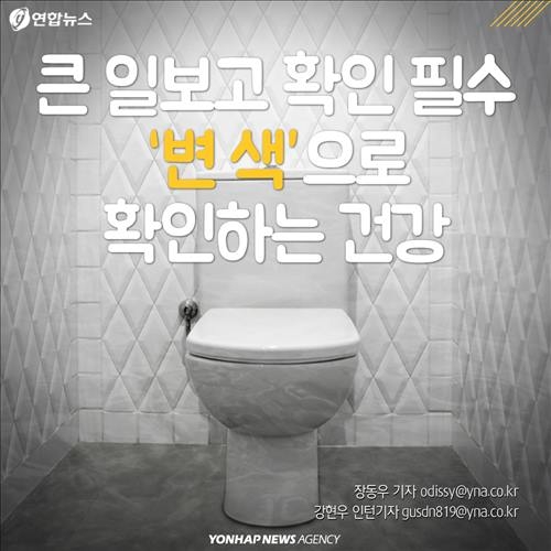 <카드뉴스> '큰일' 봤으면 확인은 필수…변 보면 건강 보인다 - 2