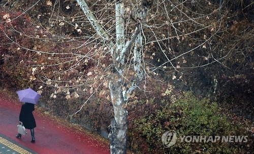 <주말 N 여행> 호남권: 요란한 겨울비…따끈한 방에서 '고로쇠' 맛보기 - 2
