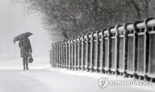 '펑펑' 전북 대부분 지역에 눈…익산 7㎝ 쌓여 - 2