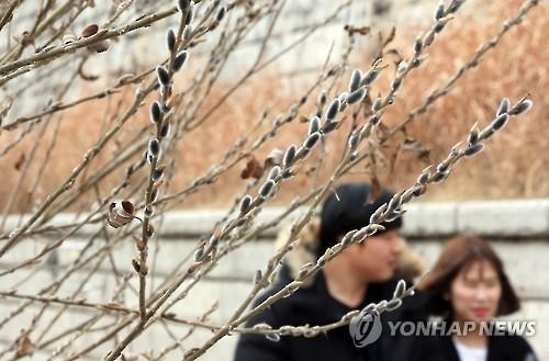 충북 흐리고 포근한 주말…"바깥활동 좋아요" - 2