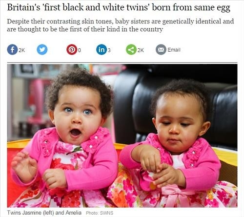 '쌍둥이 맞아?'…영국서 '흑인·백인' 일란성 쌍둥이 자매 탄생 - 2