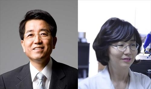 "나노입자 항산화제, 생쥐 알츠하이머 치료 효과" - 4