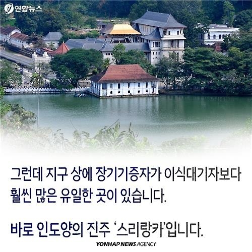 <카드뉴스> 장기기증 천사들이 사는 나라 - 6