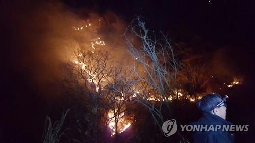 소백산 불 국립공원 삼킬 뻔…사투끝 500m 남기고 저지(종합2보) - 2