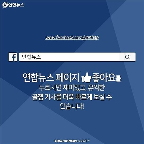 <카드뉴스> 중국 때문에…대한민국 하늘길은 '빨간불' - 10