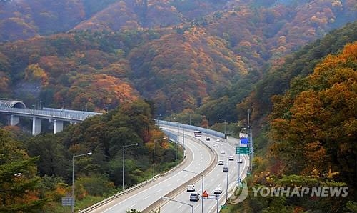 산림이 강원도 미래라는데…정작 도유림은 '코딱지' - 2
