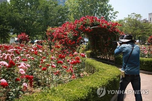 모처럼 옅어진 미세먼지…축제장·관광지 나들이 인파 넘쳤다(종합) - 2