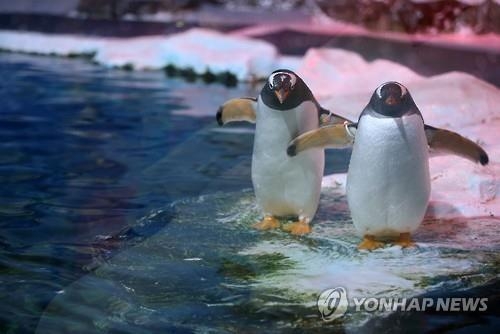 국립생태원 에코리움, 세계 5대 기후대 체험 가능 - 4