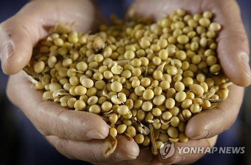 '라니냐로 콩 흉작' 우려…美대두 선물가 9주째 올라 2년래 최고 - 2
