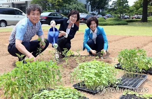 "씨뿌리고 모종심으며 협치도 열매?"…국회 '텃밭모임' 가동 - 2