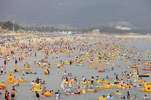 전남 명사십리·가마미해수욕장 내달 1일 개장 - 2