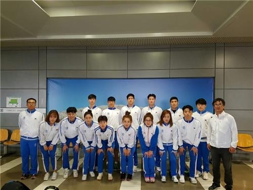핀수영선수단, 이스탄불 착륙 직전 '테러'… 가슴 쓸어내렸다(종합) - 2
