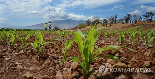 노벨상 수상자 108명 "그린피스, GMO 반대 그만하라" - 2