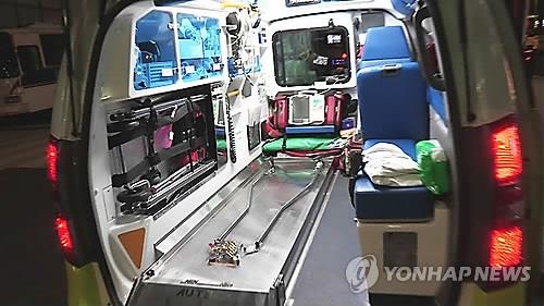 "풀 먹어 배아프니 병원에 데려가줘요"…출동한 119에 횡설수설 - 2