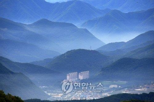 '열대야?'…태백은 "에어컨이 필요없는 여름 별천지" - 2