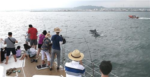'제돌이' 고향 제주 "수족관 아닌 자연에서 돌고래 본다" - 4