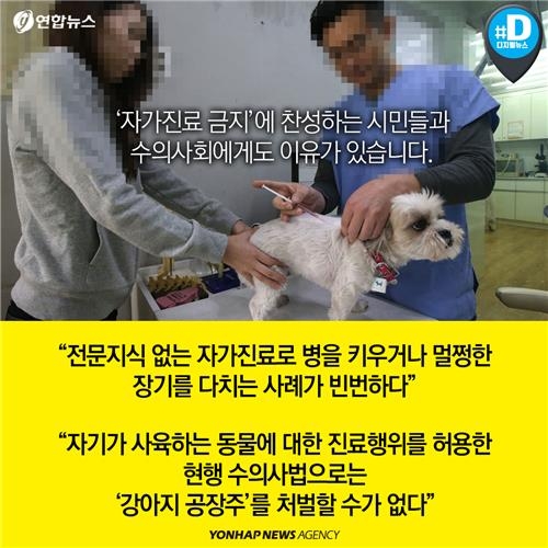 <카드뉴스> 배가 아픈데 어디로 가야하냥? 약국, 아니면 병원? - 8