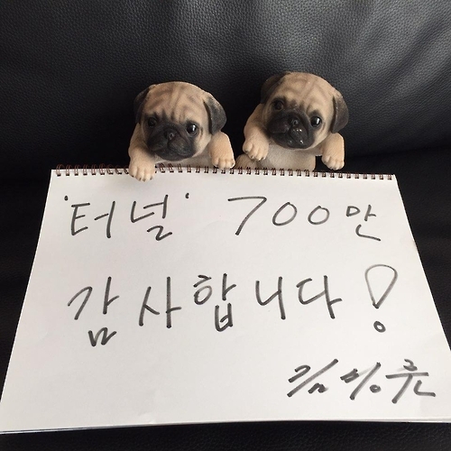 김성훈 감독의 감사 인사 인증샷