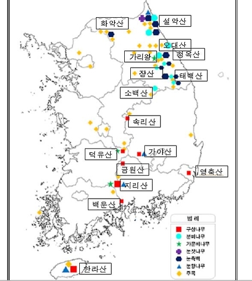 고산 침엽수 분포현황