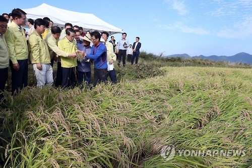 태풍 피해 현장