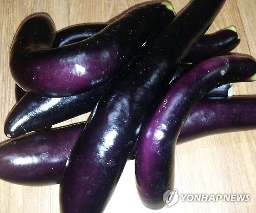 가지