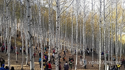연합뉴스 자료 사진