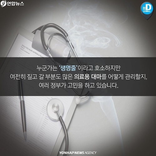 <카드뉴스> 독초? 약초? 각국 의료용 대마 합법화 논란 - 11