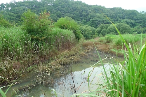 문경 굴봉산 돌리네 습지