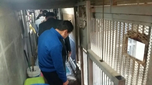 '잇단 곰 탈출' 대전시 동물사육시설 긴급 안전점검 - 1