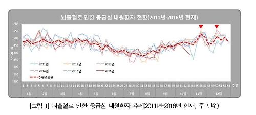 뇌출혈 환자 응급실 내원 추이