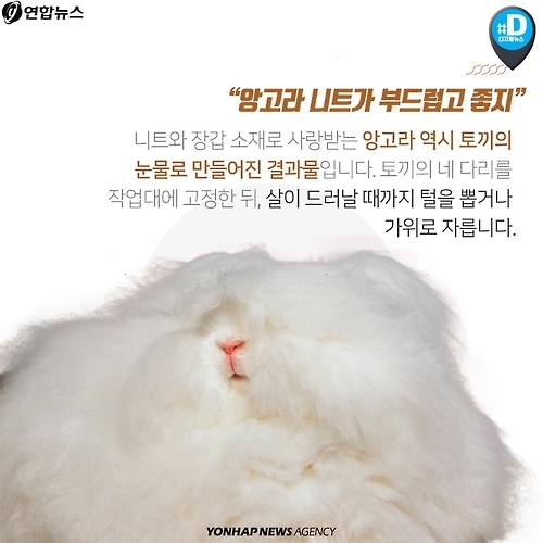 <카드뉴스> 우리가 따뜻해질수록 동물들은 웁니다 - 6