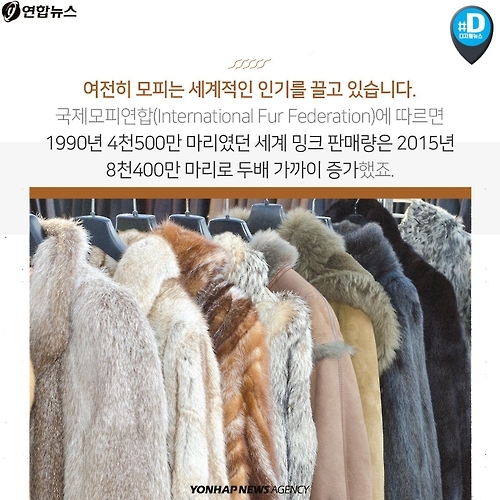 <카드뉴스> 우리가 따뜻해질수록 동물들은 웁니다 - 11