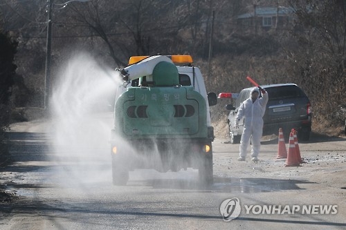 계속되는 AI 방역작업