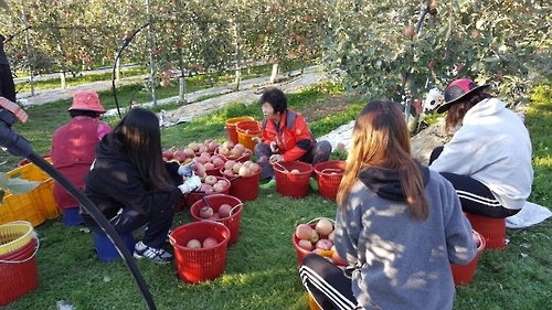 대학생 농촌 일손지원