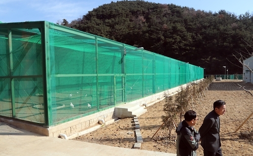 우포따오기 장마분산센터