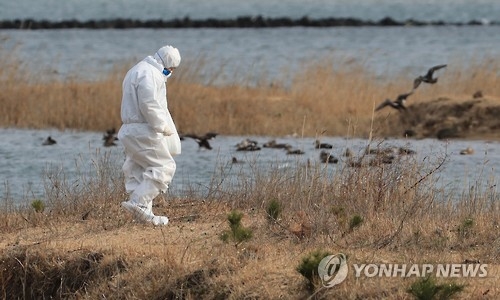 [연합뉴스=자료사진